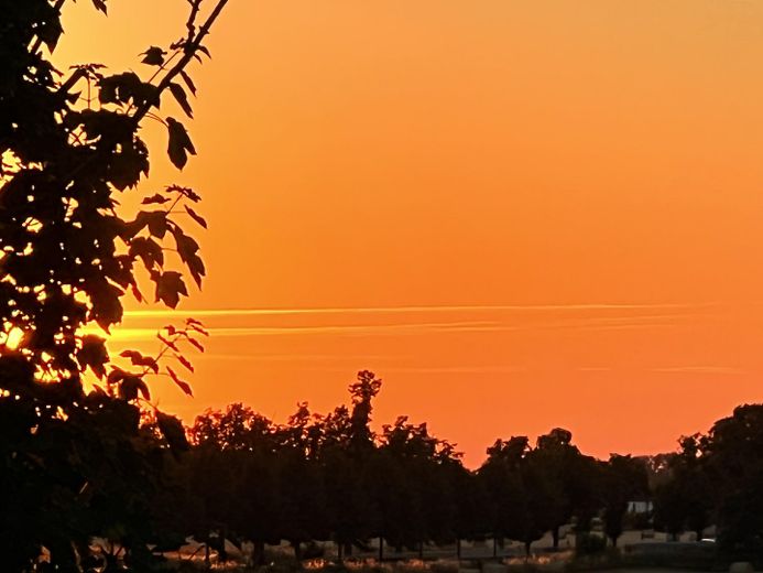 NEU! Ikonische, lichtdurchflutete Landhaus Villa mit Einliegerwohnung & mögl. Grundstkserweiterung – Original Sonnenuntergang