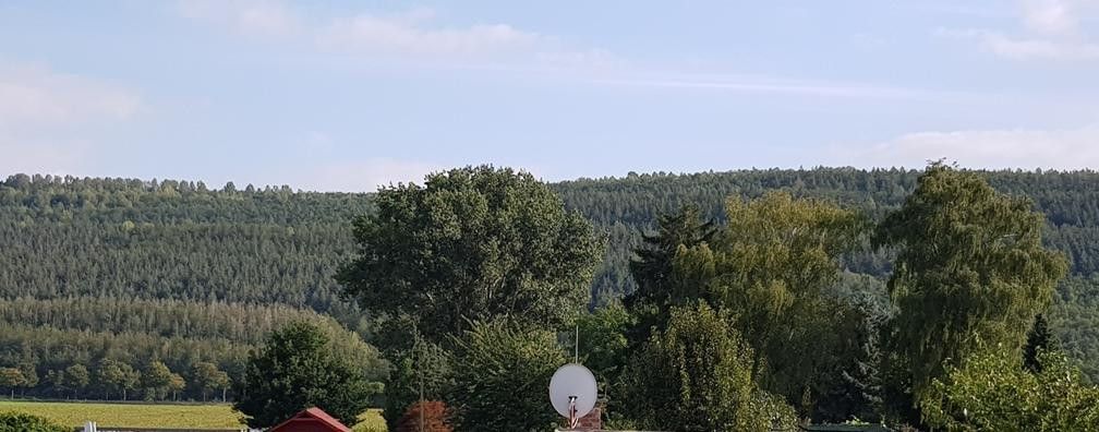 Ausblick Süd-Balkon