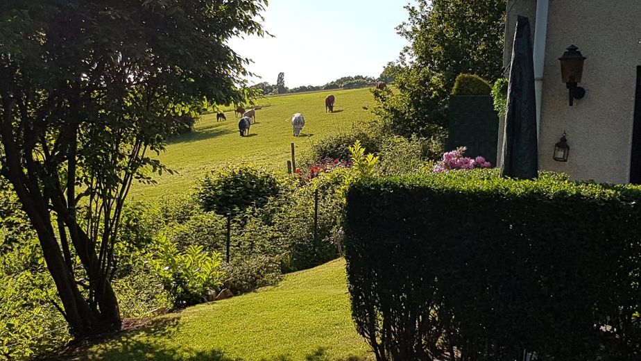 Garten Einliegerwohnung