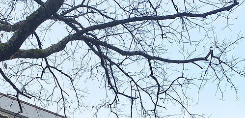 Gebäude außen WHG-Blick