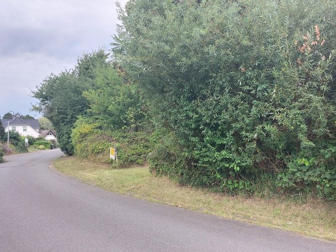 Küstenglück - große Baulücke in Westerholz nahe der Außenförde – Straßenansicht