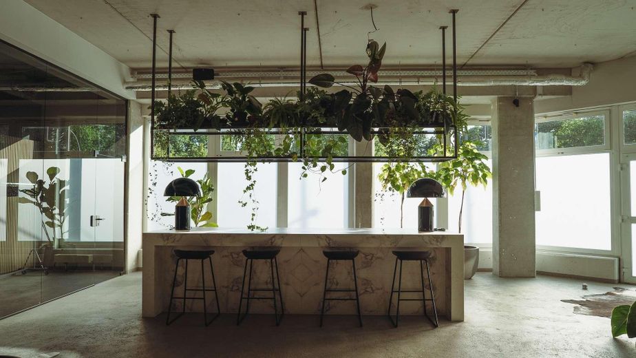 Vielfältige Fläche in Top-Lage von Berlin - Moderne Studio-, Laden-, oder Bürofläche – Tresen
