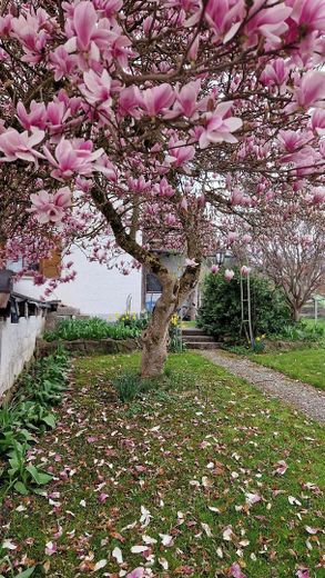Attraktives Grundstück mit Altbestand und Bergblick – Sanierung oder Neubau möglich – Foto 7