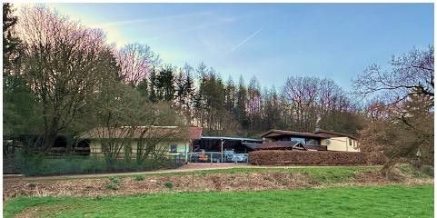 Gestüt in separater Alleinlage