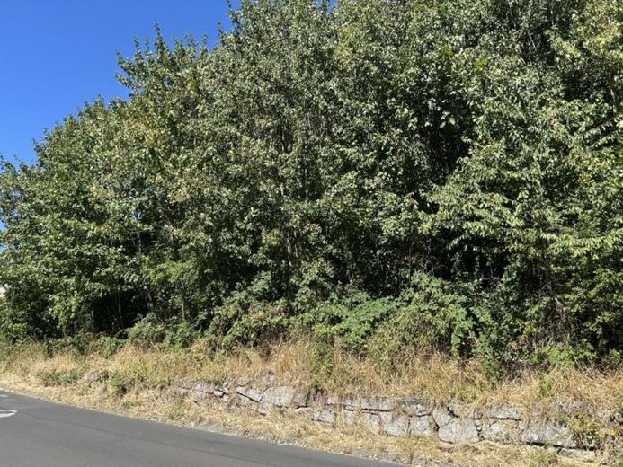 Baugrundstück in Bad Brückenau – Foto 1