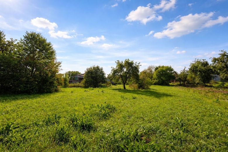 Einmaliger Vierseithof im LK Bamberg! Riesiges Grundstück, 2 x Haus, Halle, 6000 qm Bauland! Garten! – Riesiges Grundstück im Innenbereich - Laut Bayernatlaus baureif und erschließungsbeitragsfrei