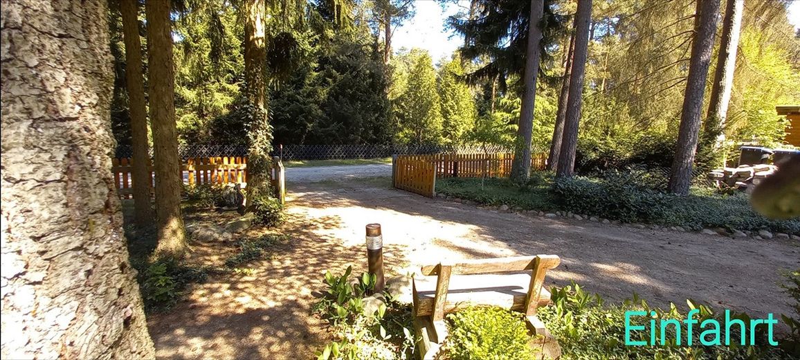Casa nel bosco vicino a Bienenbüttel su terreno di proprietà – Photo 6