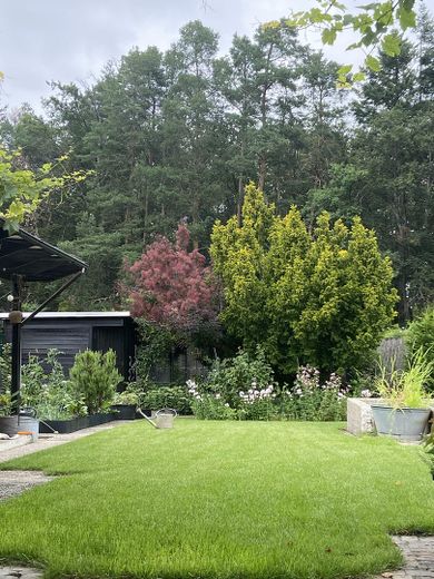 Traumhaftes Zweifamilienhaus mit Garten, Waldblick, Pool, Sauna & Mieteinnahmen – Waldblick von der Terrasse
