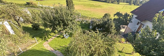 Ausblick Balkon auf Terrasse