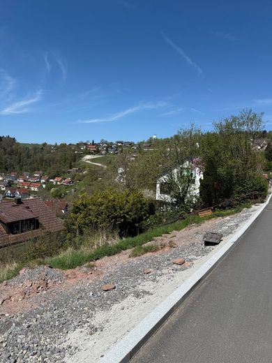 Aussicht Flst 1097
