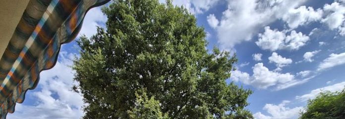 +++Appartamento in posizione idilliaca con vista sui campi+++