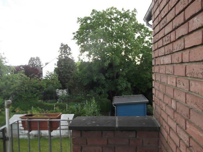 2-Zimmerwohnung mit Balkon, seperatem Keller, Garage in ruhiger Wohnlage im Süden von Kerpen-Buir – Foto 15