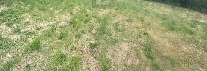 أرض ترفيهية بجوار منطقة محمية طبيعية