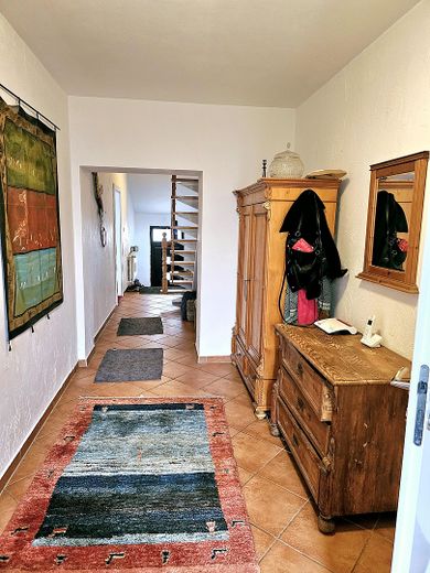 Tu sueño de tener un caballo en casa se hace realidad – Diele