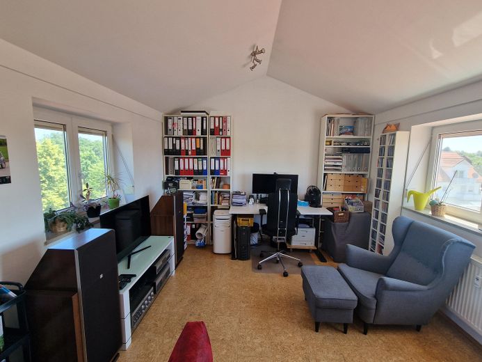 Arbeits- und Gästezimmer (1)