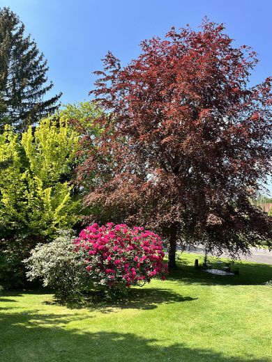 Familienparadies mit Swimmingpool, Tennis- und jede Menge Platz! – Grundstück mit Tennisplatz