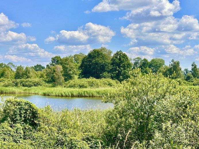 HORN IMMOBILIEN ++ RESERVIERT++ Ferienhaus am See in Lebehn bei Krackow – See mit Insel