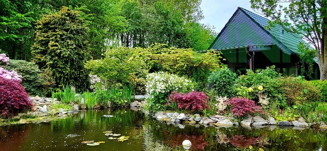 Koi Teich