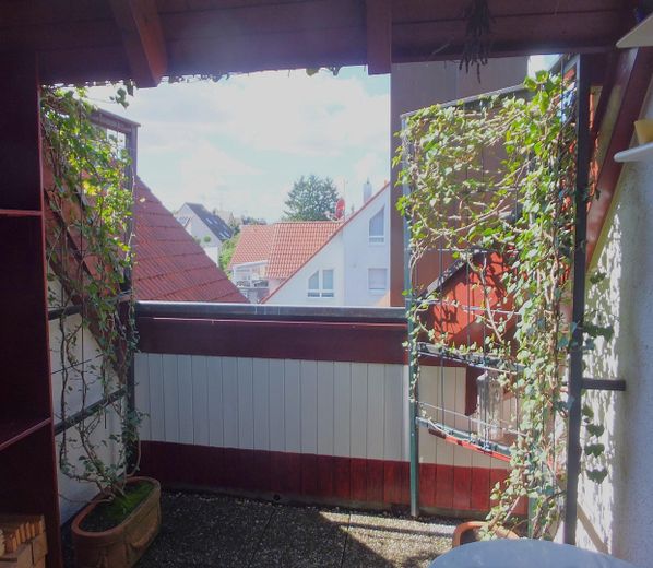 Dach-Loggia DG II