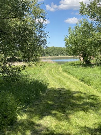 Landhaus unter Reet am See, Gästewohnung, Stallungen, Weiden und Wald. – Weg Haus zum See