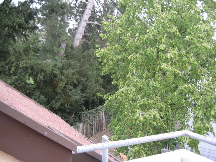 Schöne, großzügige DG-Wohnung in ruhiger Lage – Aussicht vom Balkon