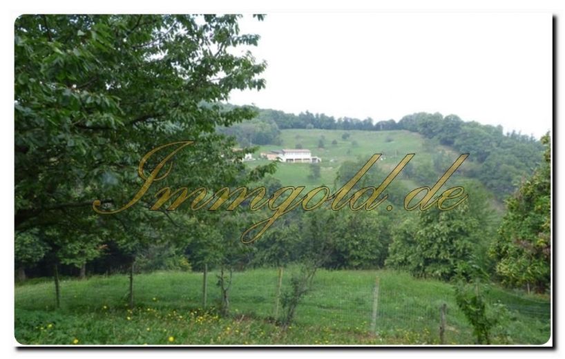 Bild 15