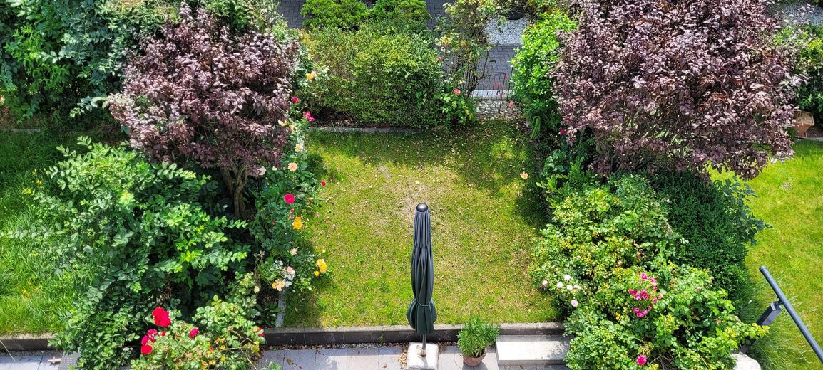 Stadthaus / Townhouse in Hamburg - Eimsbüttel mit unverbaubaren Blick in den Stadtpark Eimsbüttel – Garten hinten