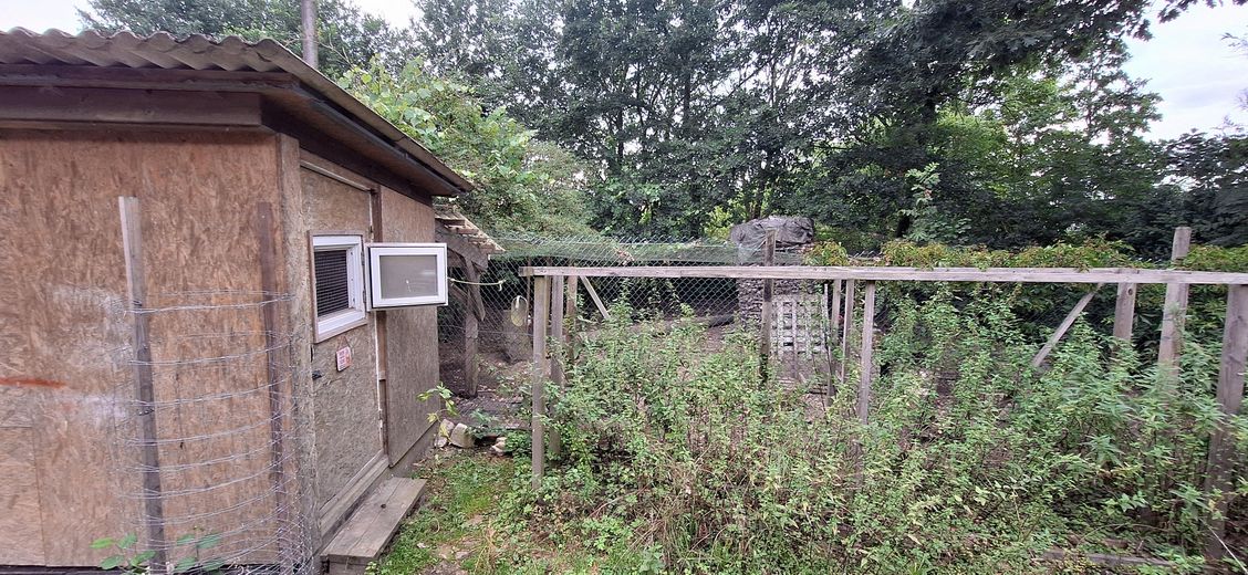 Hühnerstall und Hühnerauslauf