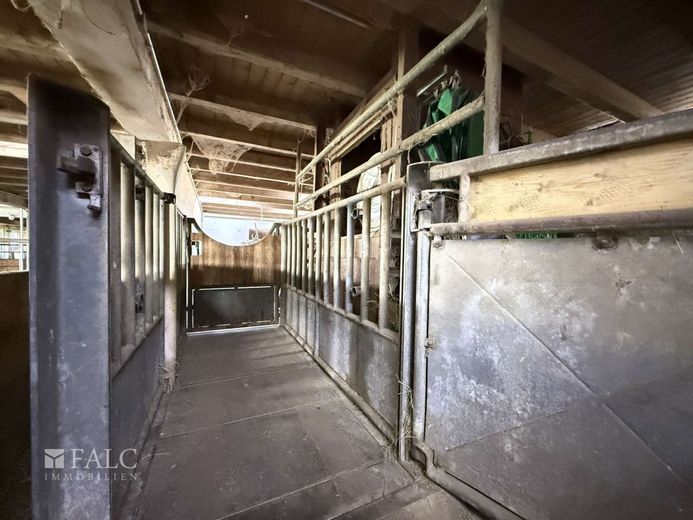 ***Mehrfamilienhaus &amp; Exklusiver Pferdehof mit Reitanlage auf ca 21.000 m² Grundstück*** – Untersuchungs- und Besamungsstand mit Waage