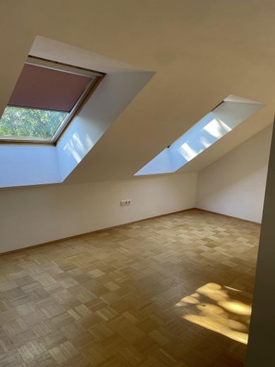 Zimmer DG