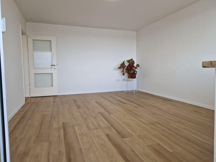 PROVISIONSFREI | Frisch renovierte 2-Zimmer-Wohnung | FREI – Wohnzimmer