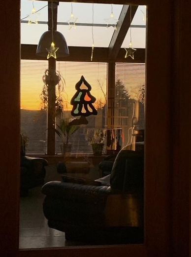 Blick in den Wintergarten