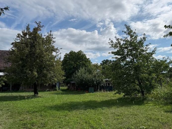 Ruhig gelegen im Ortskern von Alt Zauche – Foto 1