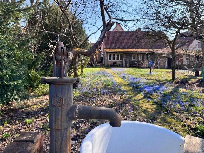 Eldingen - Verborgene Perle: Einfamilienhaus + Garten + Obstbäume - wer erweckt mich zu neuem Leben – Gartenansicht 1