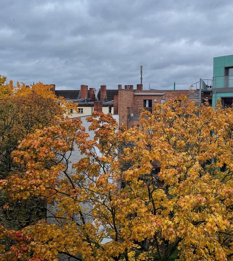 senza commissioni, appartamento di 3 locali ai margini di Berlino, posizione da sogno, terrazze soleggiate – Blick aus dem Badfenster