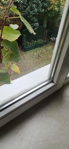 MFH Chemnitz-Kaßberg ca. 7%Rendite VOLLvermiet. WEG-aufget. Fernwärme lfd. instand geh. + Ausbaures. – Holz-Isolierglasfenster Treppe