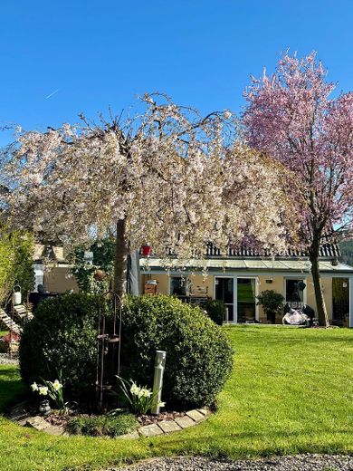 Blick auf Haus aus dem Garten