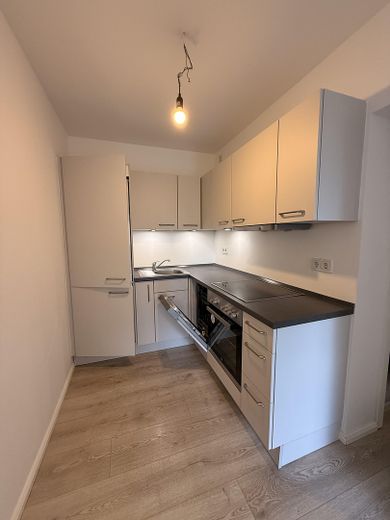 Сучасна новобудова від 2- до 3-кімнатної квартири серед зелені від 950,- € – offene Küche 