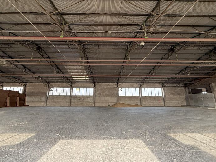 Großzügige Gewerbefläche mit Lagerhallenbestand und Büro in Neustadt a. d. Orla – Lagerhalle innen
