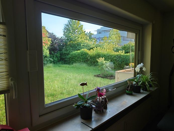 Attraktive 4,5-Zimmer-Hochparterre-Wohnung – provisionsfrei – Blick aus dem WoZi-Fenster