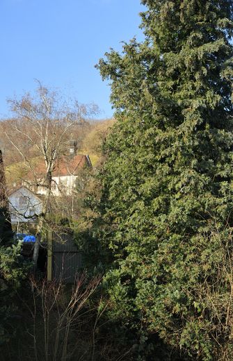 von dort: Blick zum Schönberg