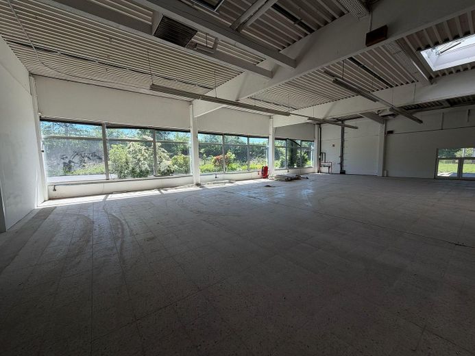 Lager-/Produktionshalle mit optimaler Erreichbarkeit (Kreuz B428/B65) – Foto 3