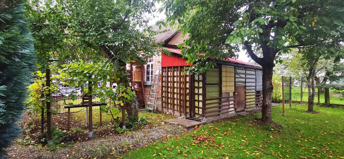Garten 2