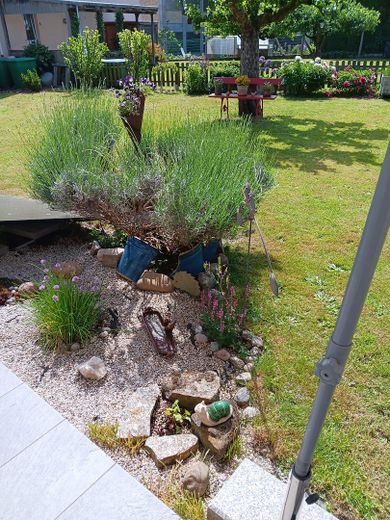 5 Zimmer Erdgeschoss-Wohnung mit Garten und separaten Eingang im OT Alzenau – Garten