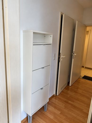 Helles 1-Zimmer-Apartment mit Südbalkon, Einbauküche und Stellplatz in Nürnberg-Laufamholz – Flur