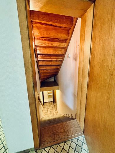Kellertreppe
