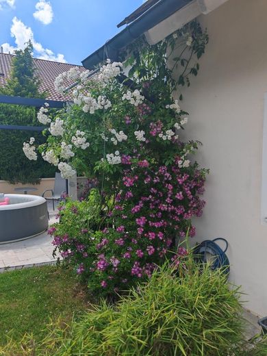 Traumhafter Panoramablick | 276 m² | PV & Speicher | bezugsbereit | provisionsfrei – Photo 40