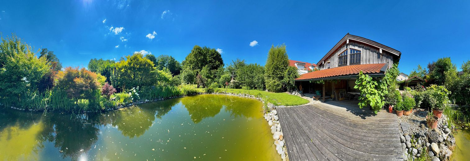 Blick von Süden auf Bestand