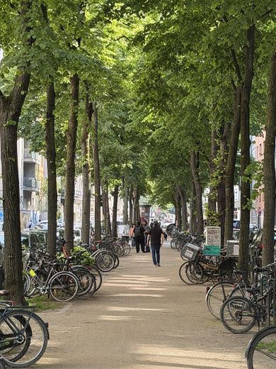Vivir con estilo en el corazón del Barrio Belga: encanto de edificio antiguo y alegría de vivir – Spazierweg vor der Haustür1