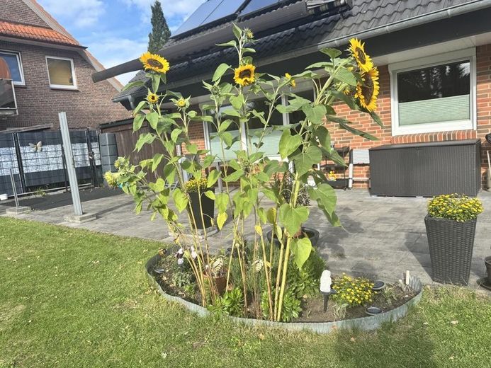 Modernisiertes Einfamilienhaus in ruhiger Sackgassenlage mit Kamin, PV-Anlage und großem Grundstück – Garten